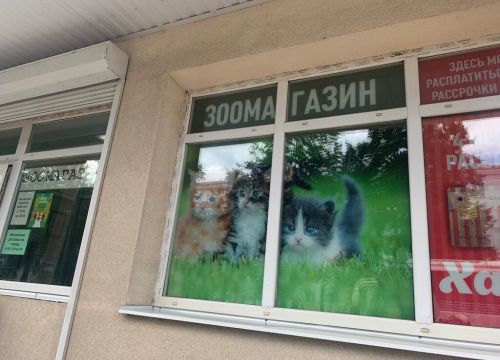 +79023300259 звонок из Верный друг