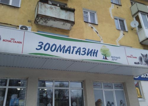 +79023300259 звонок из Верный друг