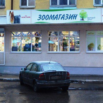 +79023300259 звонок из Верный друг