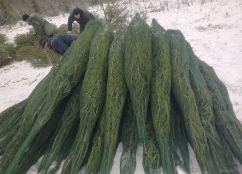 +79024432613 звонок из Елки-урала