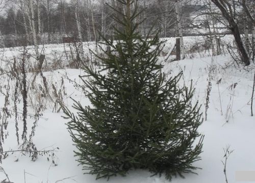 +79024432613 звонок из Елки-урала