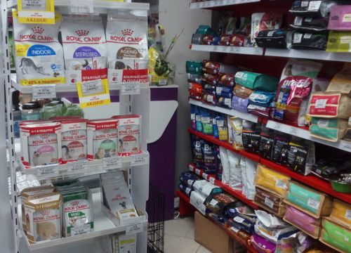 +79025861806 звонок из JollyTail