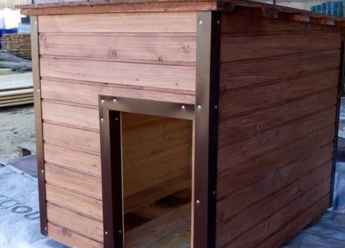 +79026590555 звонок из Зеленый лес