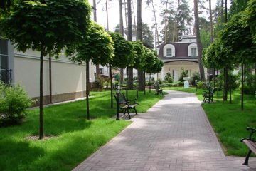 +79028713141 звонок из Зелёный остров