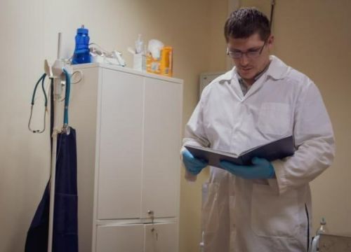 +79028841230 звонок из Ветеринарная клиника