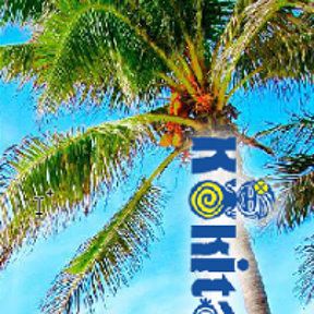 +79029103050 звонок из Kokita