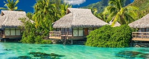 +79029103050 звонок из Kokita