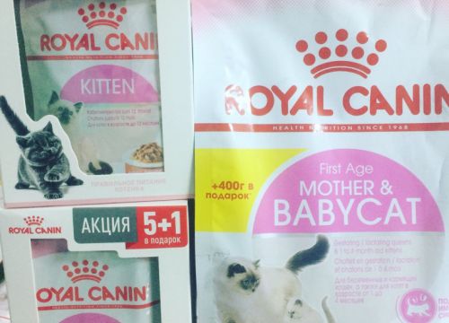 +79030040515 звонок из Зооцентр