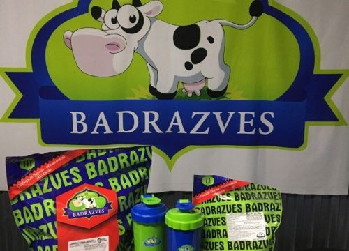 +79030071155 звонок из Бадразвес