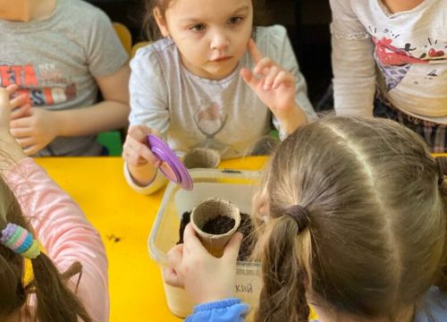 +79030100501 звонок из Детский сад Rainbowgarten