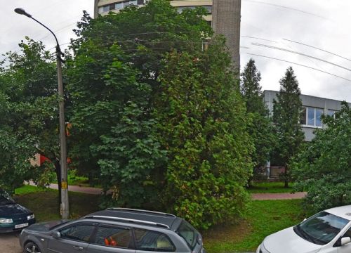 +79031080073 звонок из Ремонт-Сити