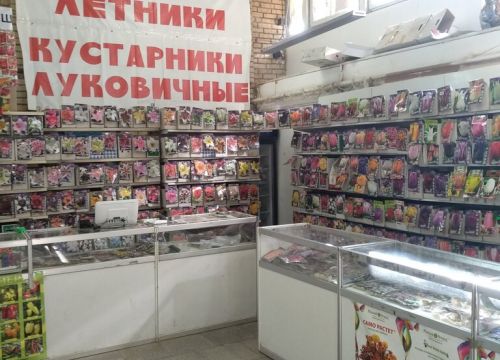 +79031350674 звонок из Семена