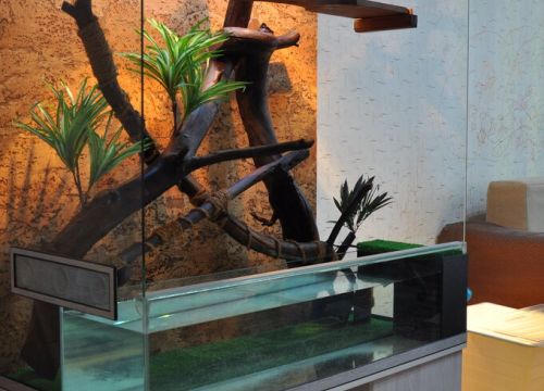 +79031360094 звонок из РосАквариум