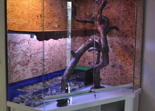 +79031360094 звонок из РосАквариум