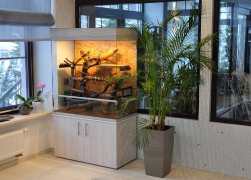 +79031360094 звонок из РосАквариум