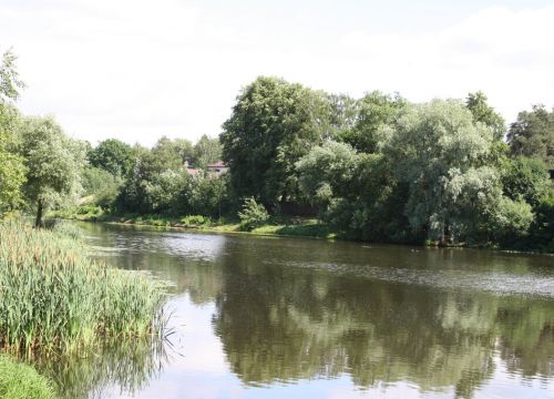 +79031501019 звонок из Ромашково Дачи