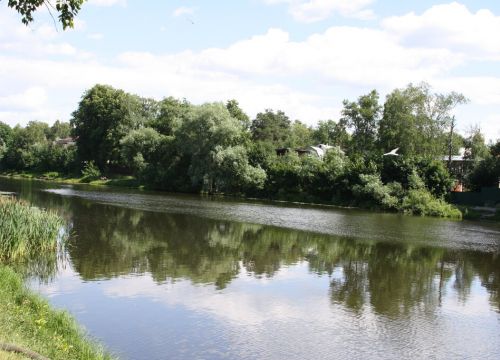 +79031501019 звонок из Ромашково Дачи