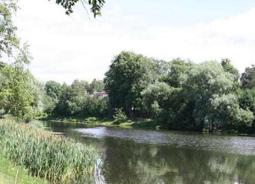 +79031501019 звонок из Ромашково Дачи