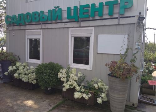 +79031570569 звонок из Дендропарк