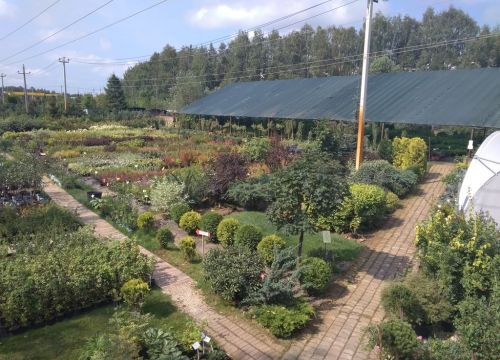 +79031570569 звонок из Дендропарк