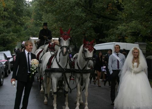 +79031790033 звонок из Атаман