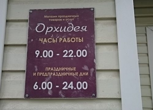 +79032071618 звонок из Орхидея