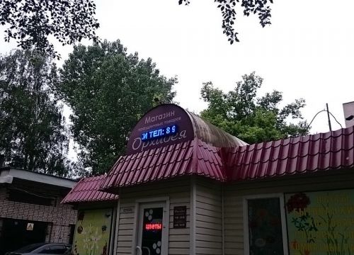 +79032071618 звонок из Орхидея