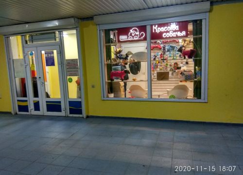 +79032110123 звонок из Красота собачья