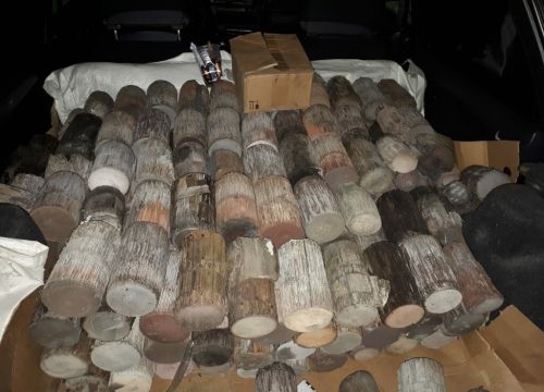 +79032451441 звонок из Катализаторов.ру