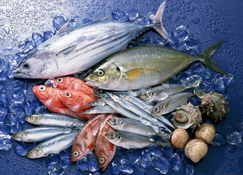 +79033182727 звонок из Рыбная оптовая база