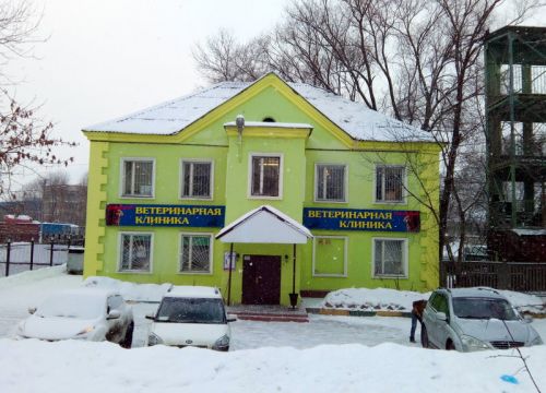 +79035332333 звонок из Идеал