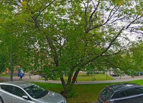 +79035691331 звонок из Акрус