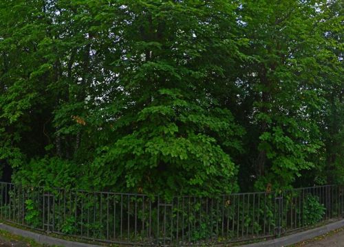 +79035740991 звонок из Студия красоты Снежана