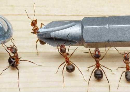 +79035794906 звонок из Мир букв