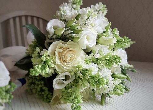 +79035834819 звонок из Белая орхидея