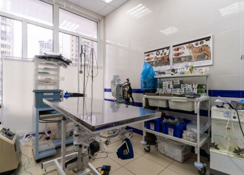 +79035854585 звонок из Ветеринарная клиника Пульс