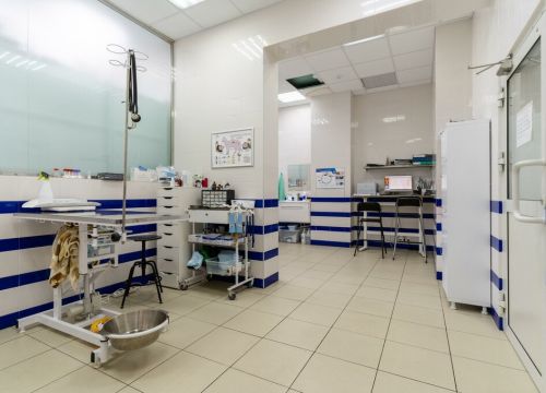 +79035854585 звонок из Ветеринарная клиника Пульс