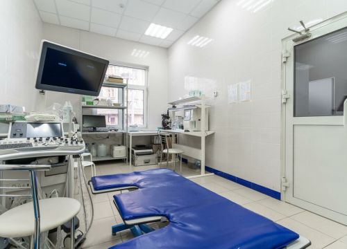 +79035854585 звонок из Ветеринарная клиника Пульс