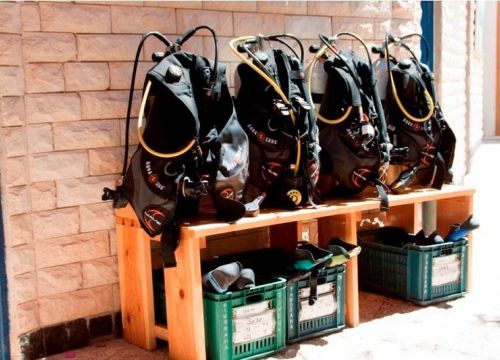 +79035860379 звонок из Дайвинг школа Padi - Scuba Academy