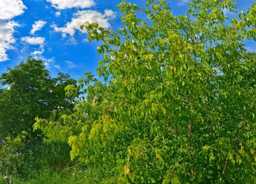 +79035863172 звонок из Татарский мусульманский культурный центр