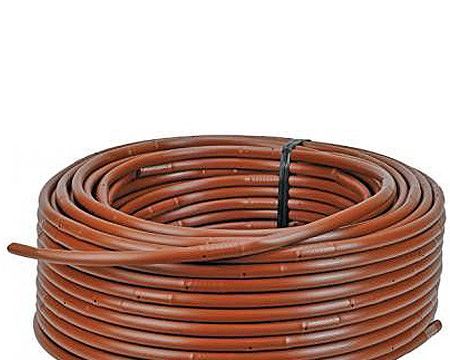 +79035878755 звонок из Садовая коллекция