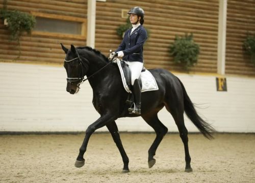 +79035882659 звонок из Club Horse