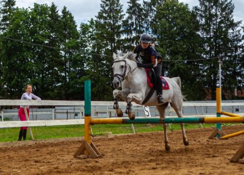 +79035882659 звонок из Club Horse