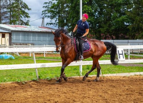 +79035882659 звонок из Club Horse