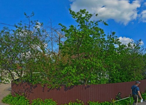 +79036300309 звонок из MachineStore