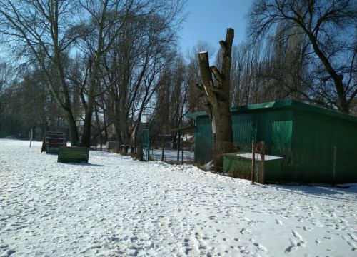 +79036420038 звонок из Дрессировочная площадка Обл Кинолог Центра