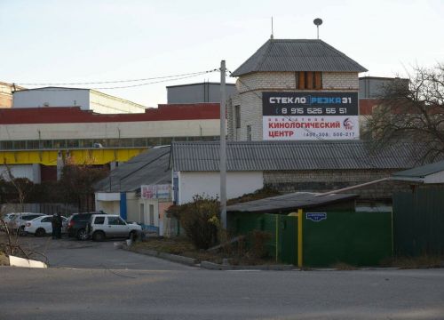 +79036420217 звонок из Областной кинологический центр