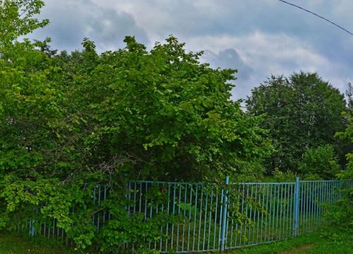 +79036740476 звонок из Фотон