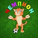 +79036851434 звонок из Чемпион