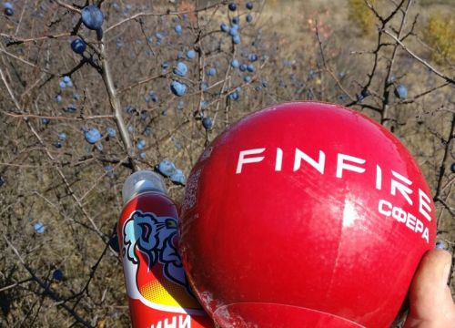 +79036891119 звонок из In3ni